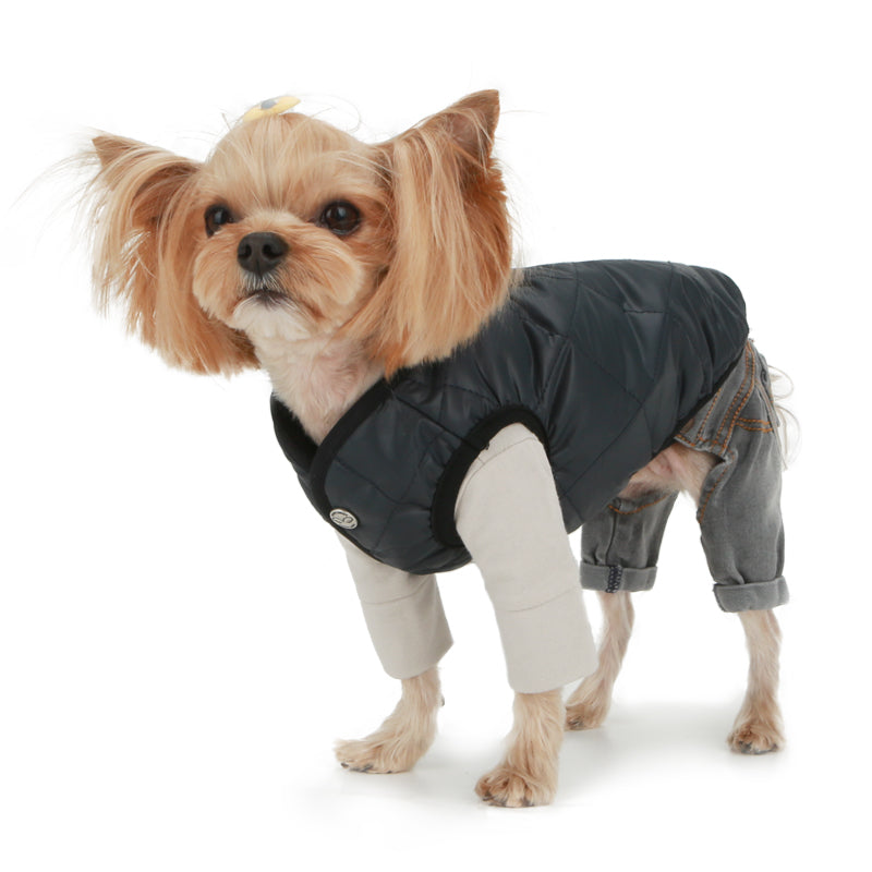 Trousers for dogs