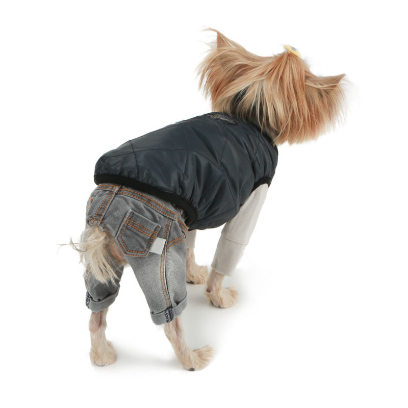 Trousers for dogs