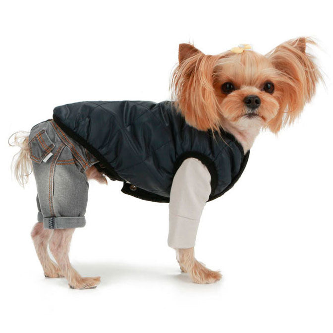 Trousers for dogs